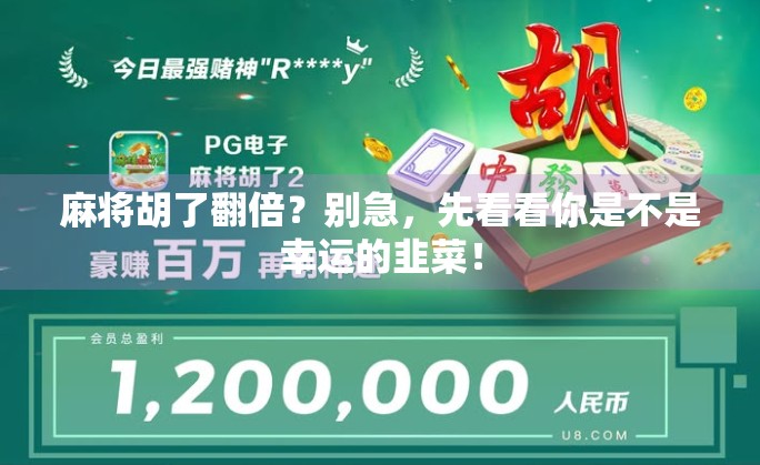 麻将胡了翻倍？别急，先看看你是不是幸运的韭菜！