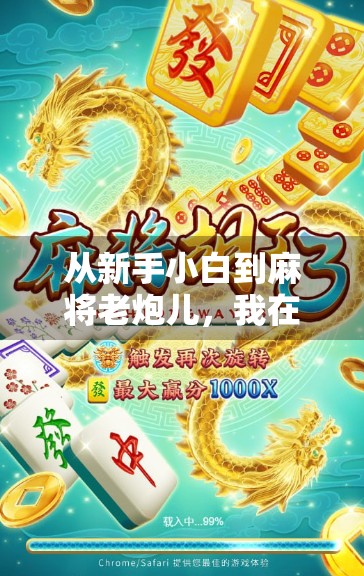 从新手小白到麻将老炮儿，我在PG麻将胡了体验中找到了快乐的节奏