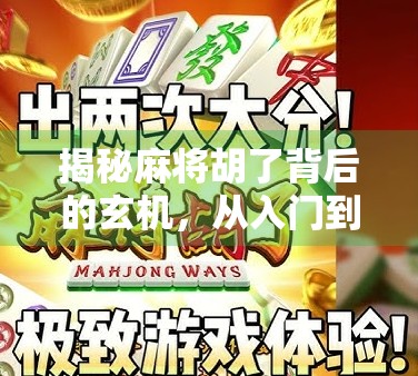 揭秘麻将胡了背后的玄机，从入门到精通的实战攻略，让你不再靠运气！