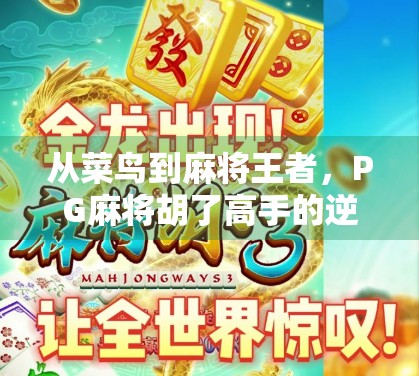 从菜鸟到麻将王者,PG麻将胡了高手的逆袭之路,揭秘背后的真实策略与心理博弈
