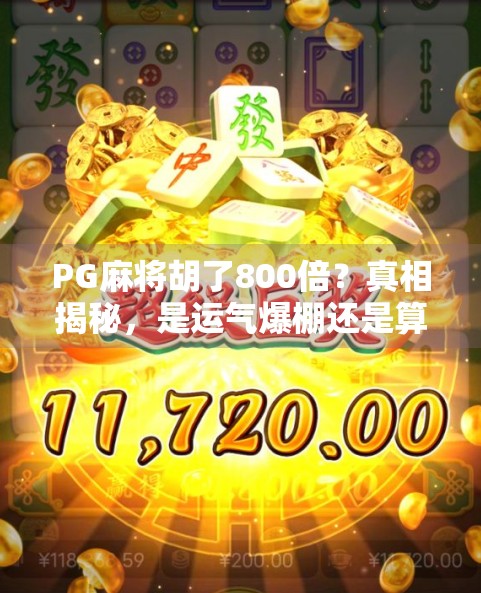 PG麻将胡了800倍?真相揭秘,是运气爆棚还是算法陷阱?
