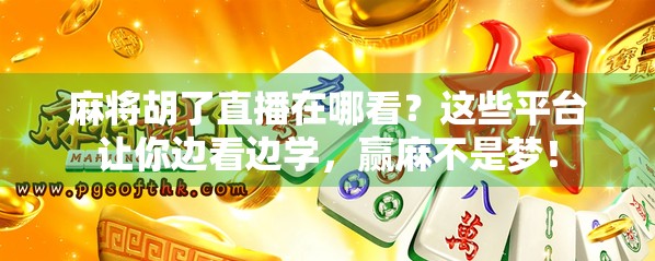 麻将胡了直播在哪看？这些平台让你边看边学，赢麻不是梦！