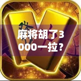 麻将胡了3000一拉?别让小赌怡情变成大祸临门!