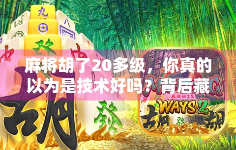 麻将胡了20多级,你真的以为是技术好吗?背后藏着的氪金真相! 麻将胡了20多级,你真的以为是技术好吗?背后藏着的氪金真相!